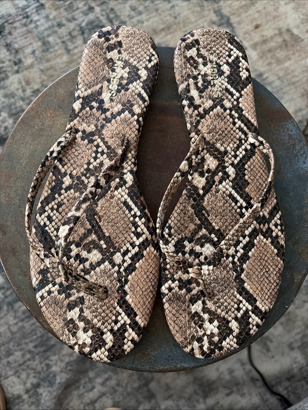 Sz 8 Express Snake-Print Flip Flops in Beige and Black